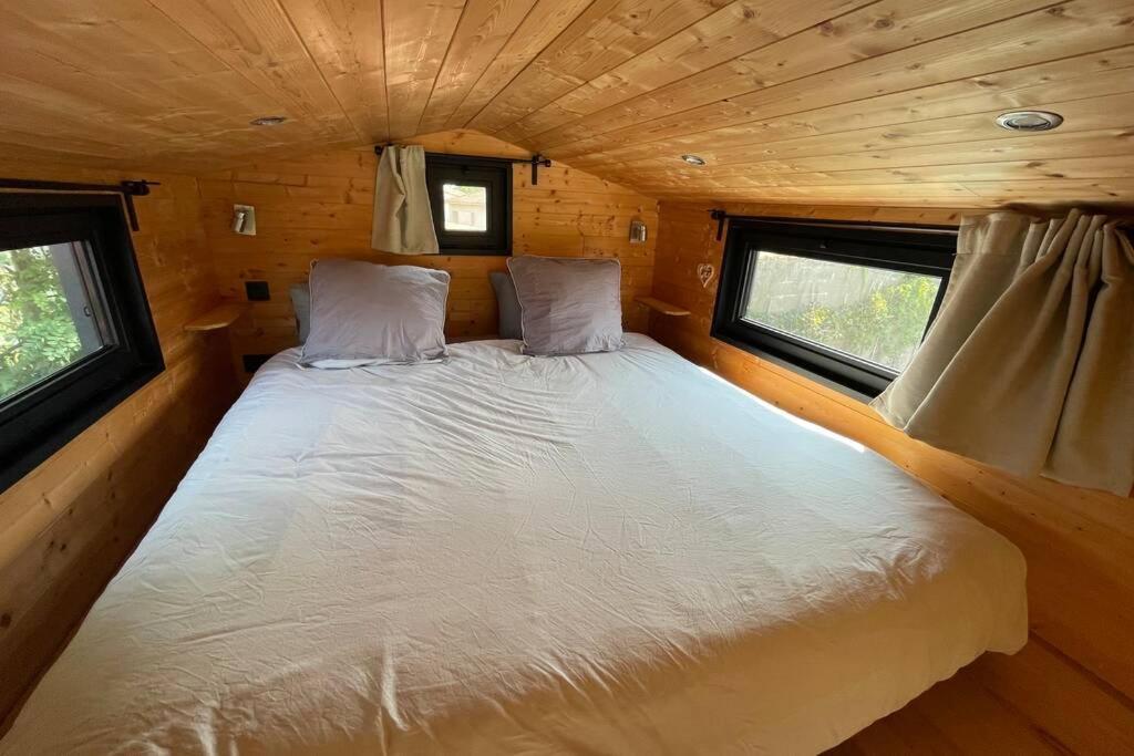 Myinsolite - Tiny-House, Jacuzzi, Brasero, Piscine エーグ・モルト エクステリア 写真