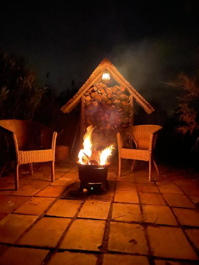 Myinsolite - Tiny-House, Jacuzzi, Brasero, Piscine エーグ・モルト エクステリア 写真
