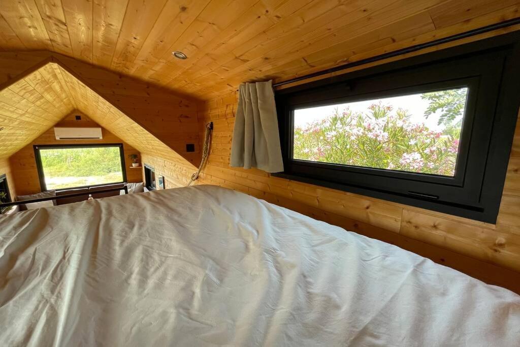 Myinsolite - Tiny-House, Jacuzzi, Brasero, Piscine エーグ・モルト エクステリア 写真