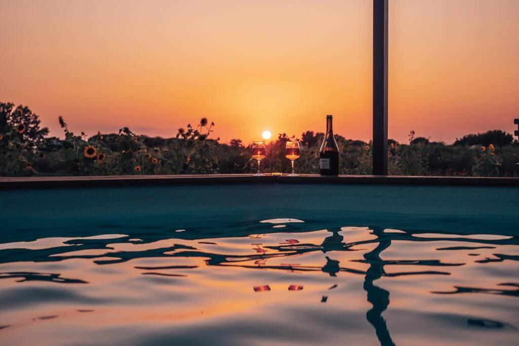 Myinsolite - Tiny-House, Jacuzzi, Brasero, Piscine エーグ・モルト エクステリア 写真