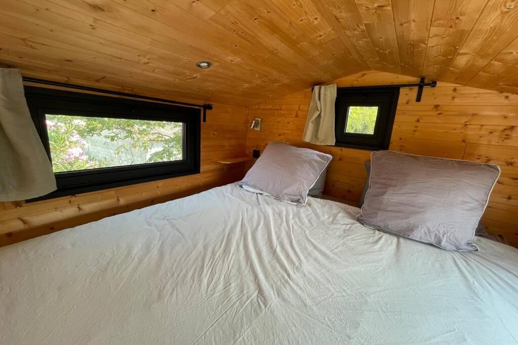 Myinsolite - Tiny-House, Jacuzzi, Brasero, Piscine エーグ・モルト エクステリア 写真
