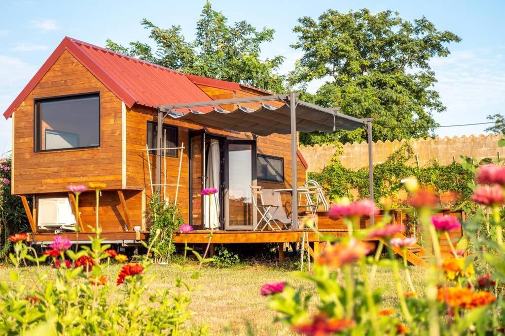Myinsolite - Tiny-House, Jacuzzi, Brasero, Piscine エーグ・モルト エクステリア 写真